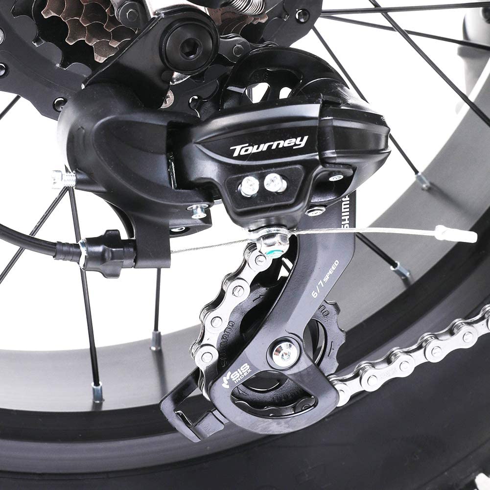 Pionver P50 e-bike