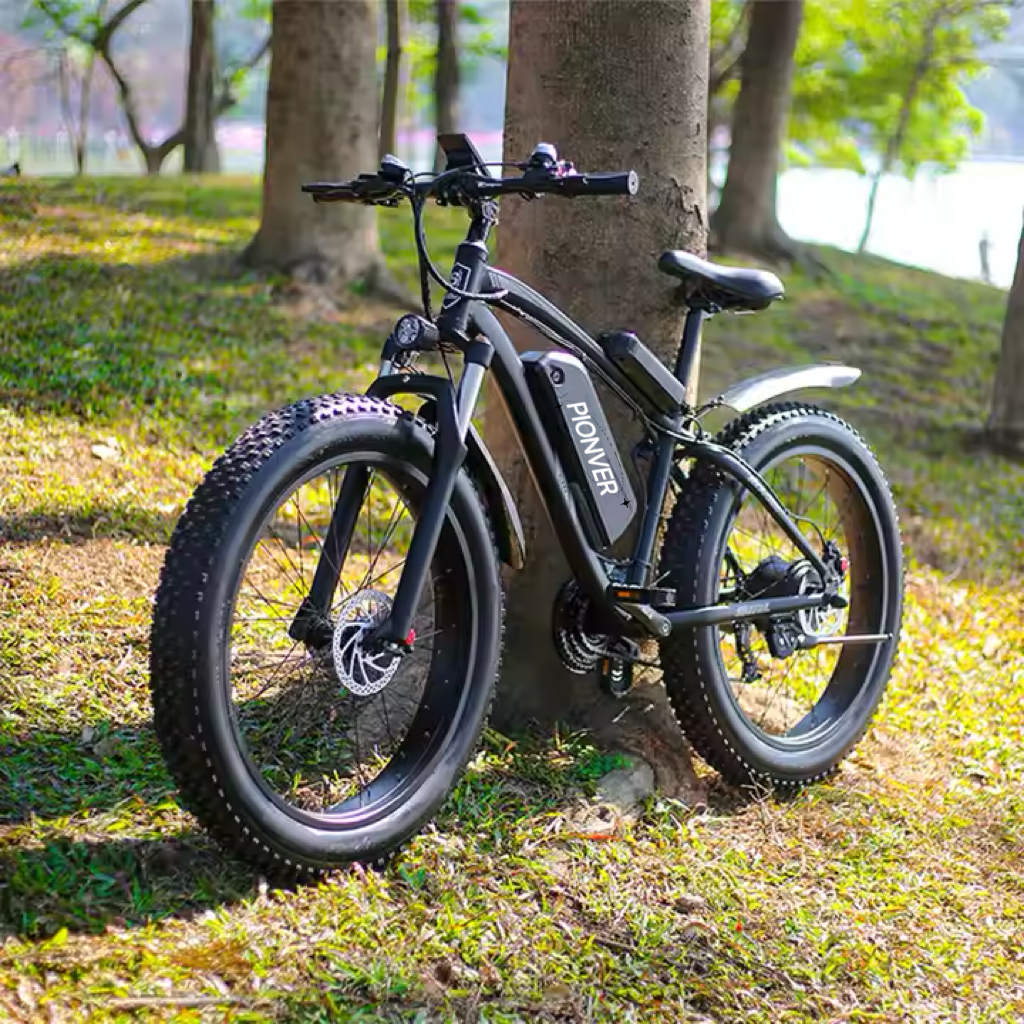 Pionver P50 e-bike - 11
