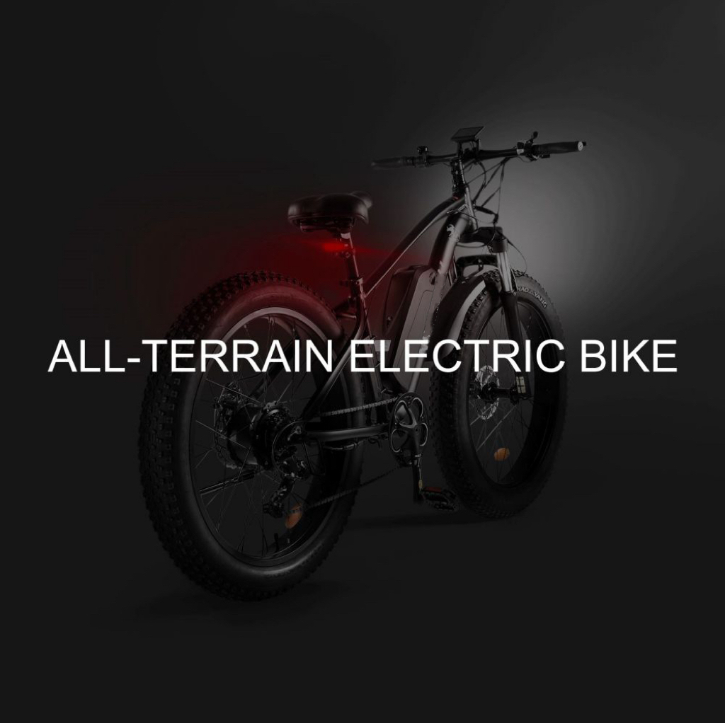 Pionver P50 e-bike - 12