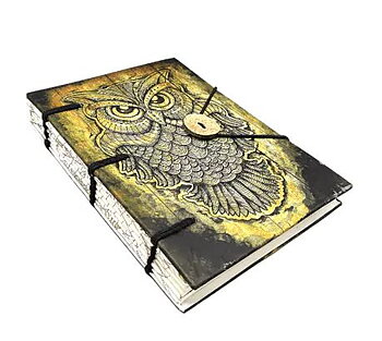 Dagbok /Journal  - Uggla 