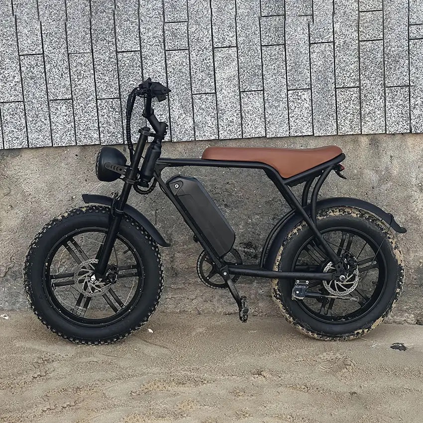 Pionver P80 e-bike