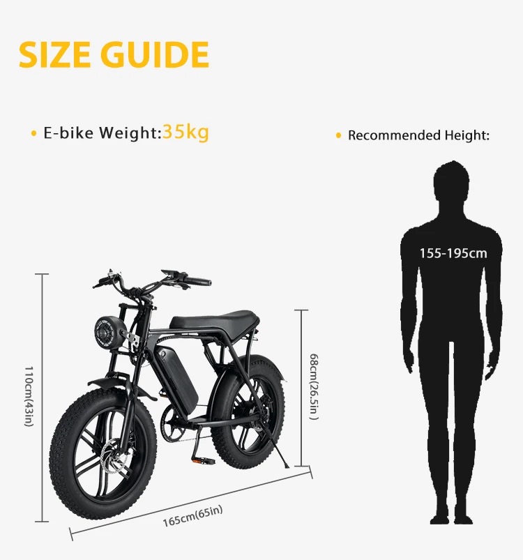 Pionver P80 e-bike - 9