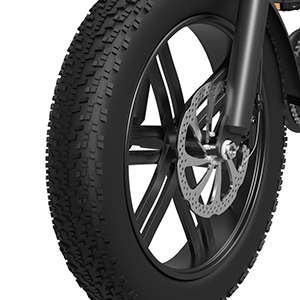 Pionver P80 e-bike