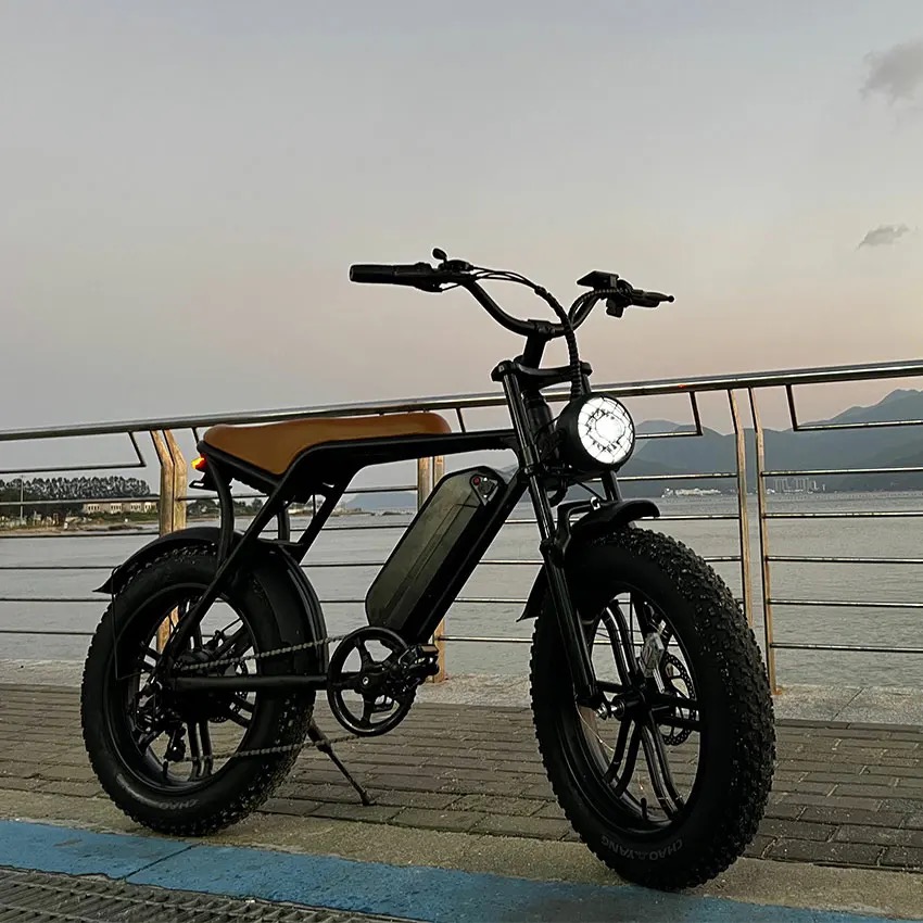 Pionver P80 e-bike - 10
