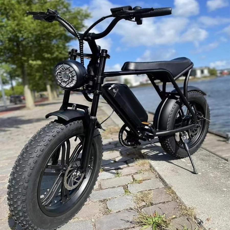 Pionver P80 e-bike - 8