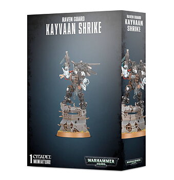 Space Marines: Kayvaan Shrike