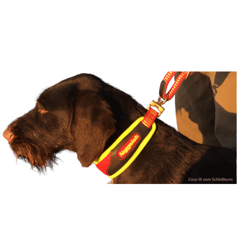 Niggeloh Blood Tracking Collar TRAIL