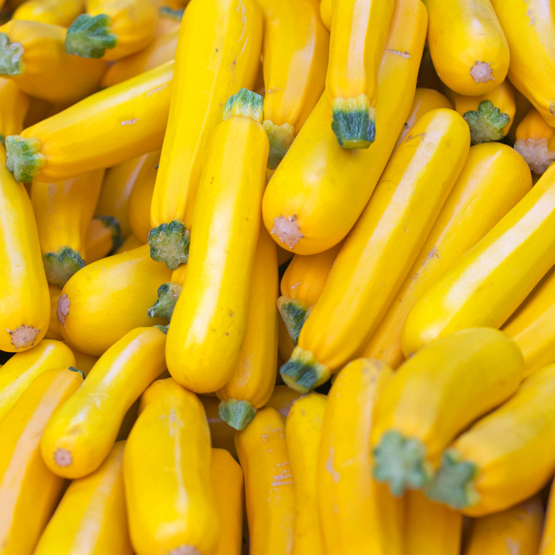 Ekologisk Squash - Goldena