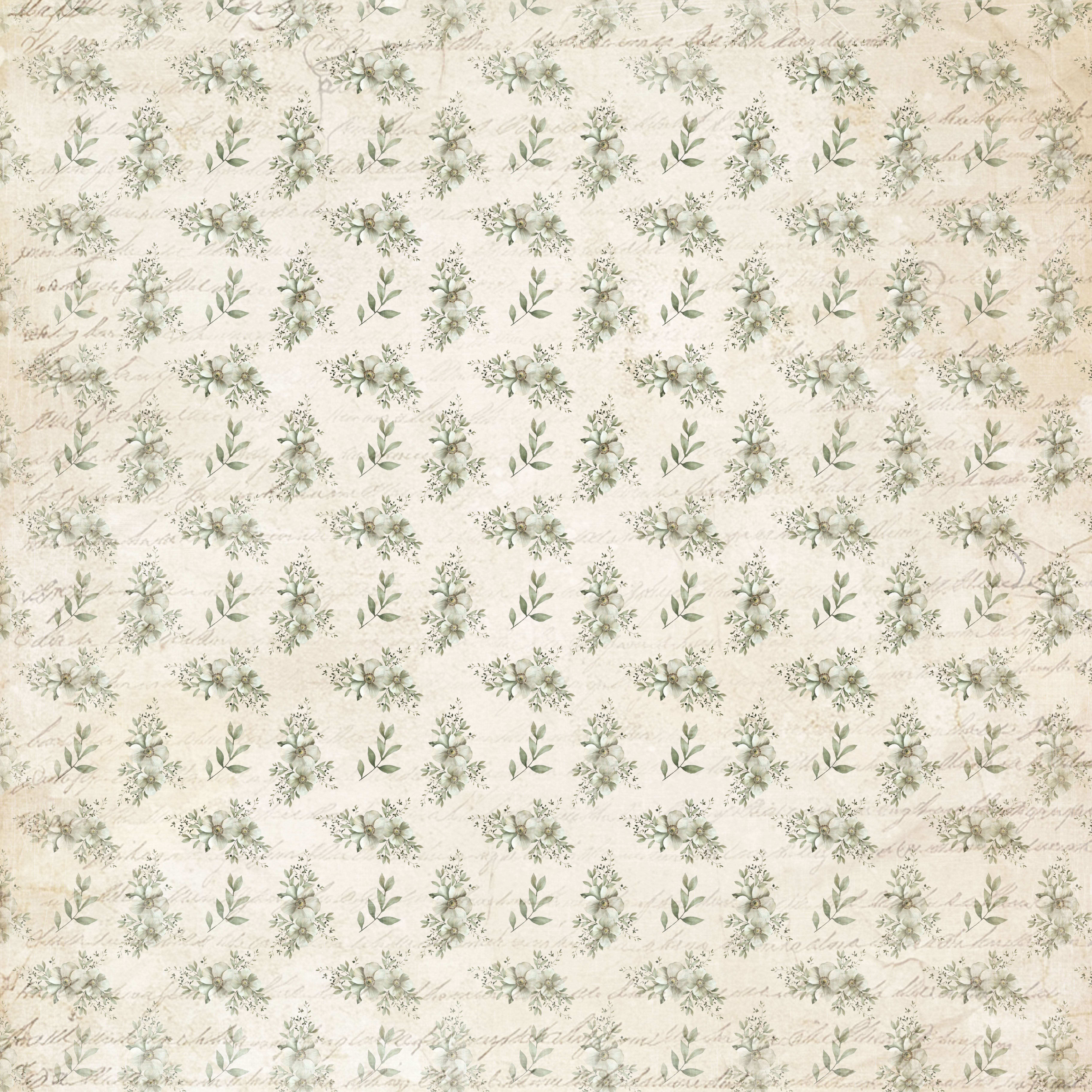 Paperpack Reprint - Cutie  Collection Paperpack - 12x12 - 5
