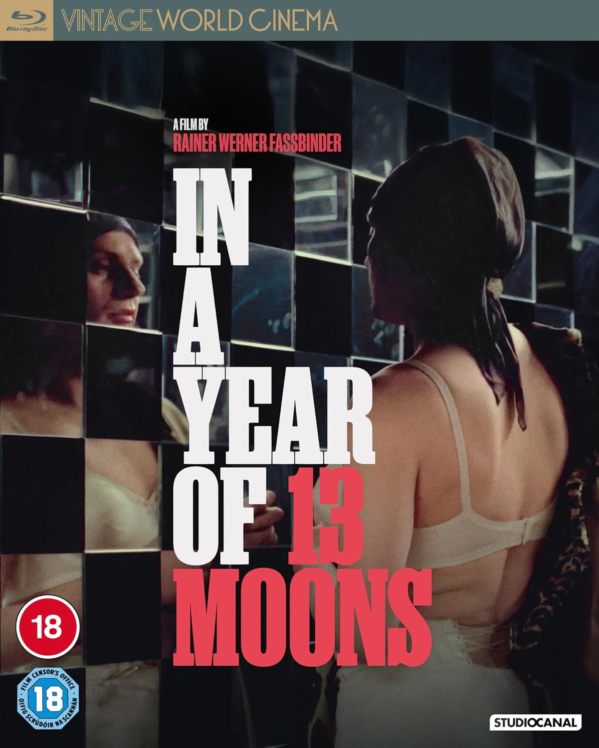In A Year of 13 Moons (ej svensk text) (Blu-ray)