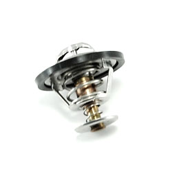 Termostat 5-cyl vitmotor 90 Grader