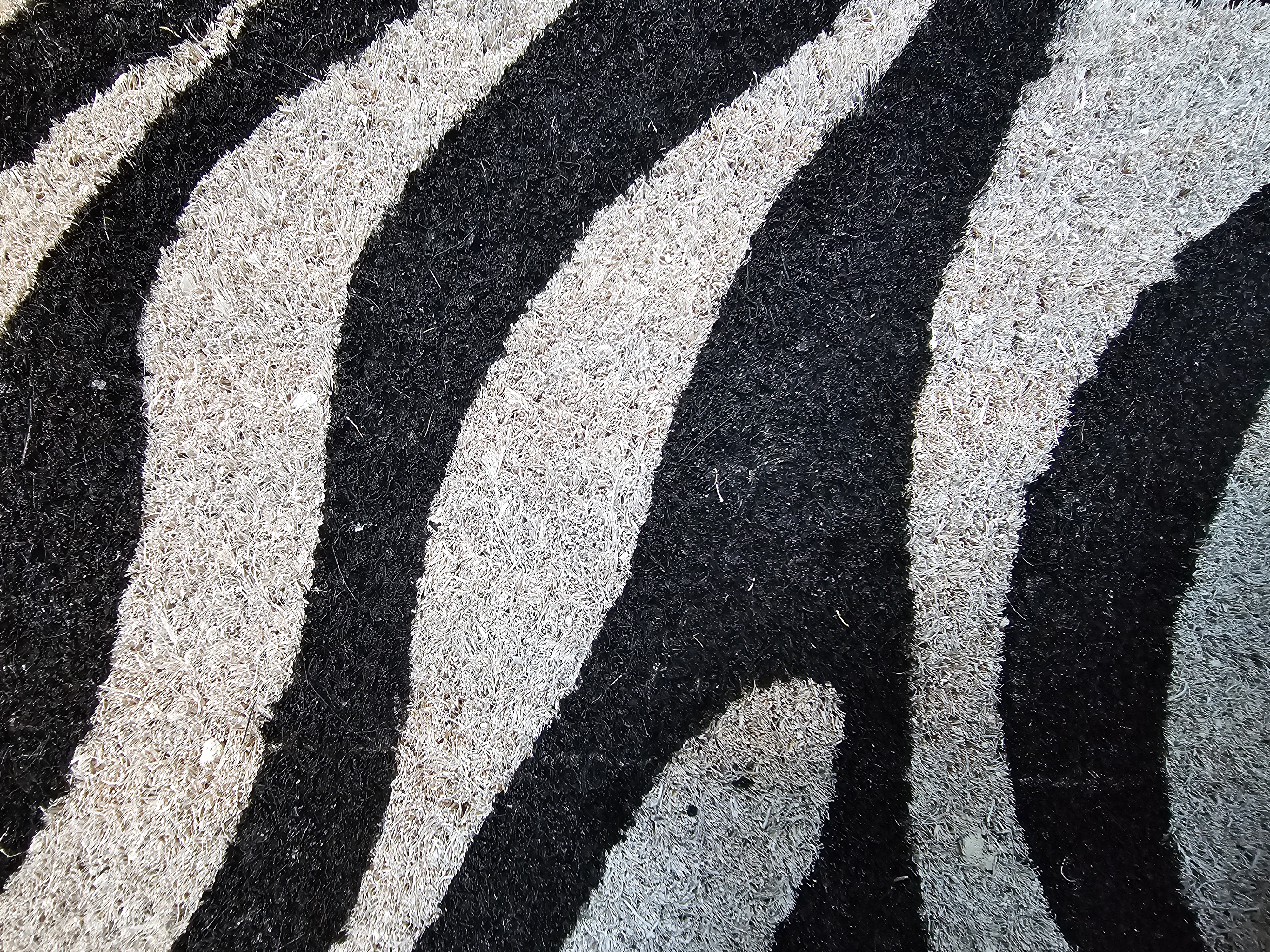 Dörrmatta 40x60 - Zebra - 7