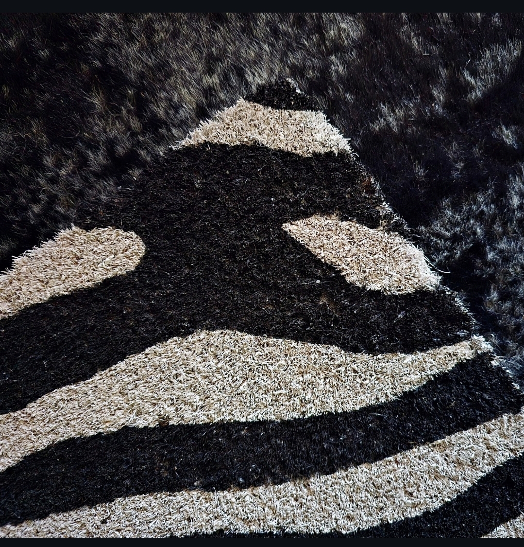 Dörrmatta 40x60 - Zebra - 3
