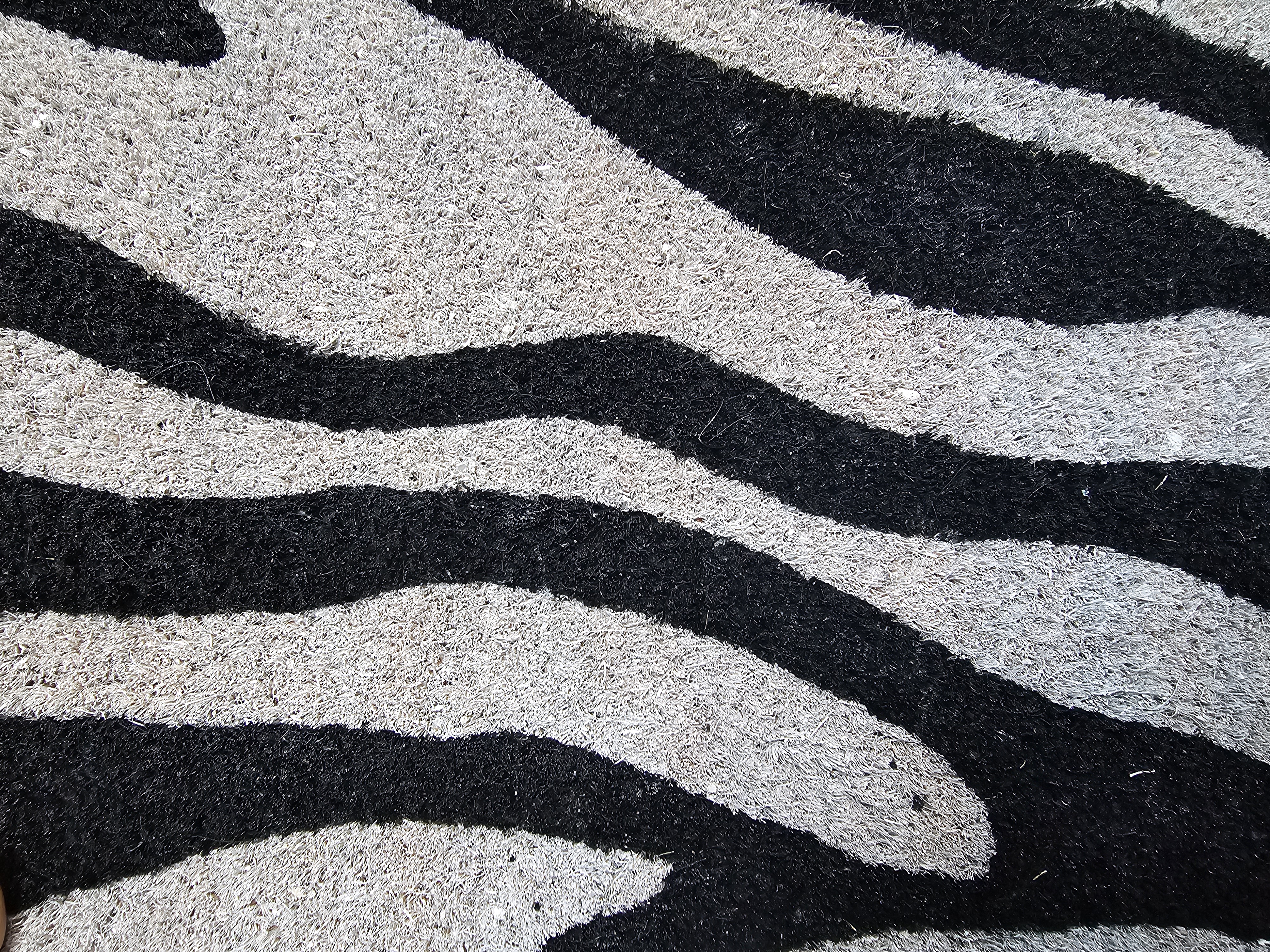 Dörrmatta 40x60 - Zebra - 6