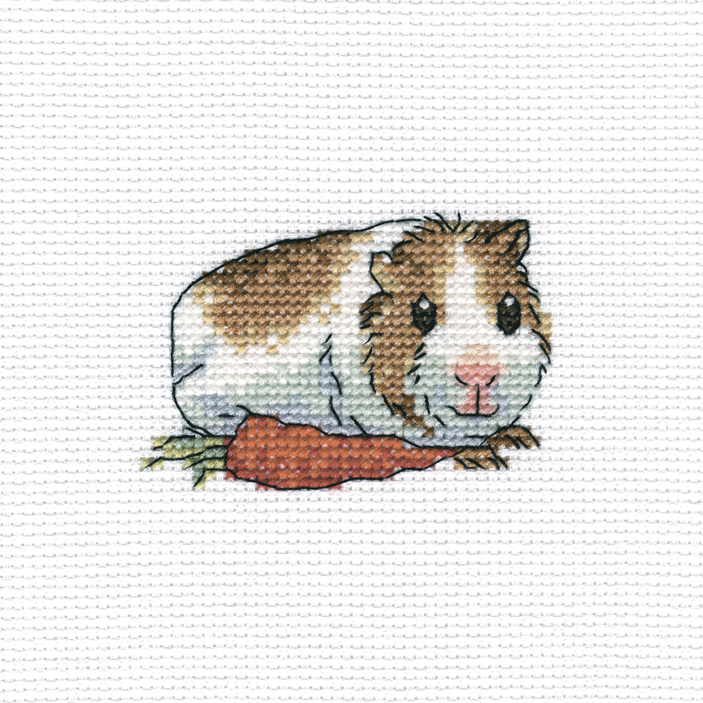 RTO Korsstygnskit 10x10 Cavy with Carrot Aida 5,5