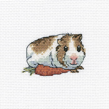 RTO Korsstygnskit 10x10 Cavy with Carrot Aida 5,5