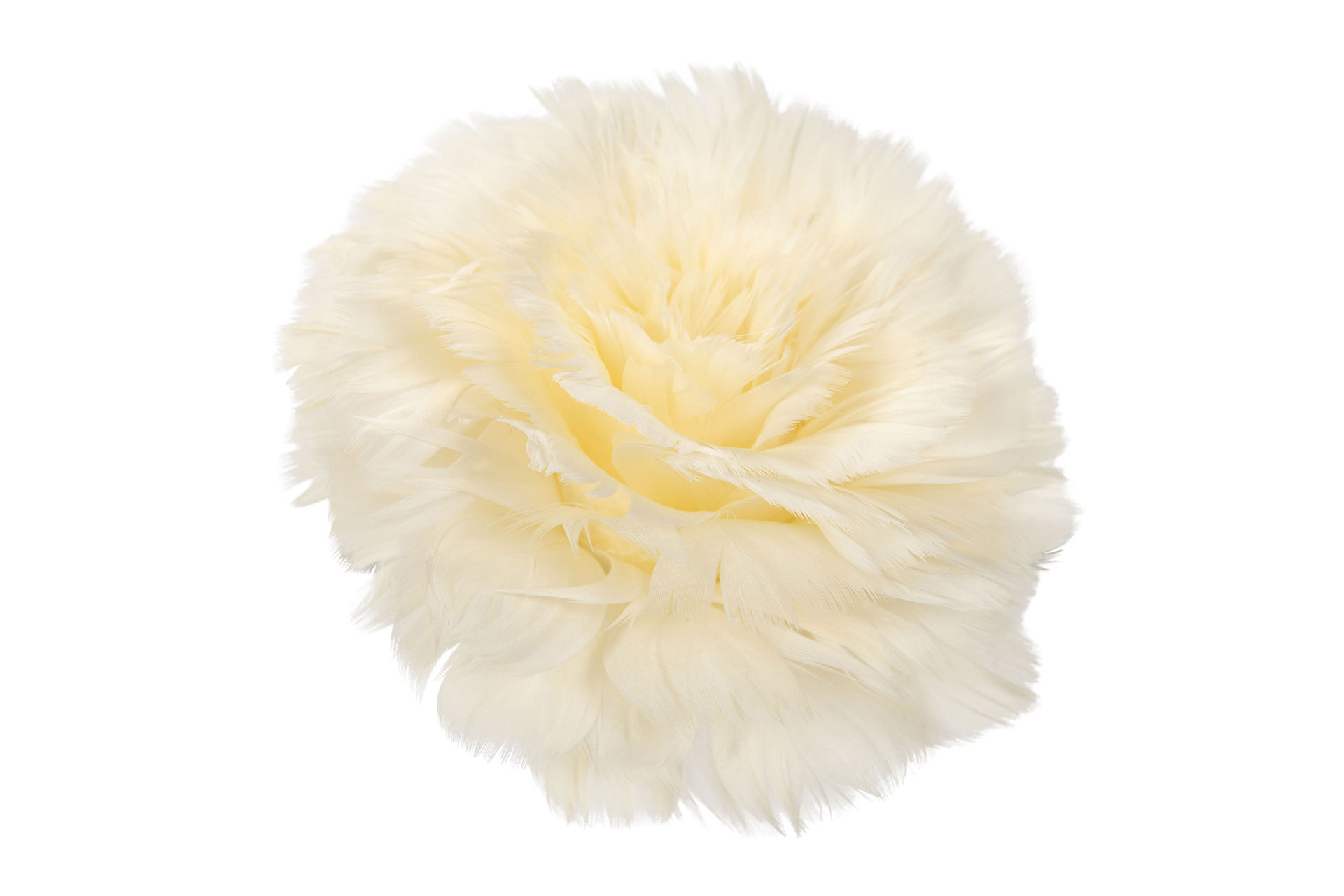 Fjäderblomma Med Clip - Vanilj