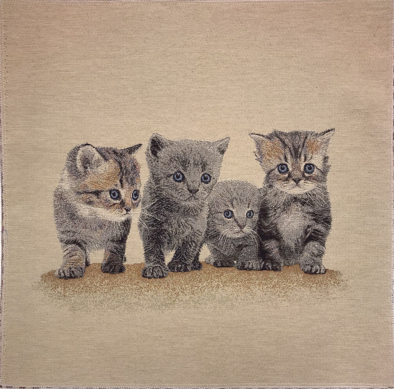 Kattungar