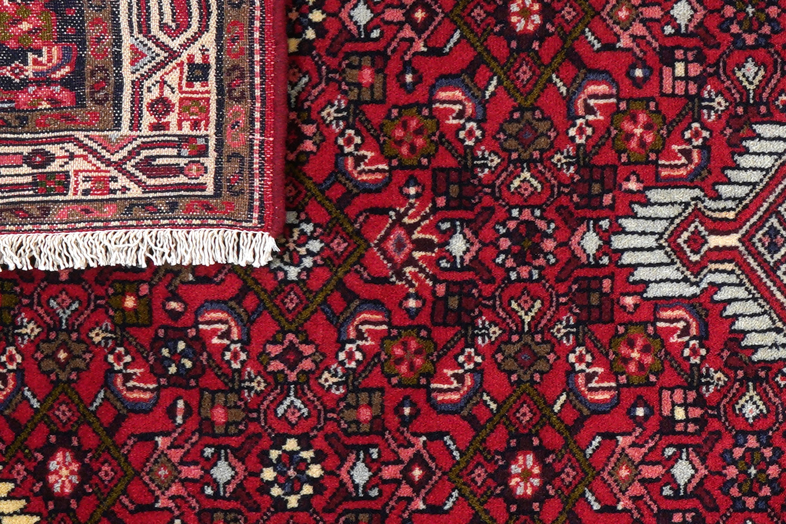Asadabad 88x200cm - 6