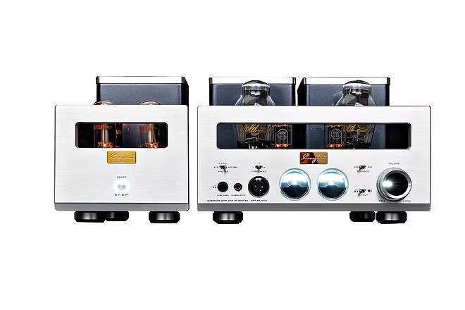 Cayin HA-300MK2 - 5