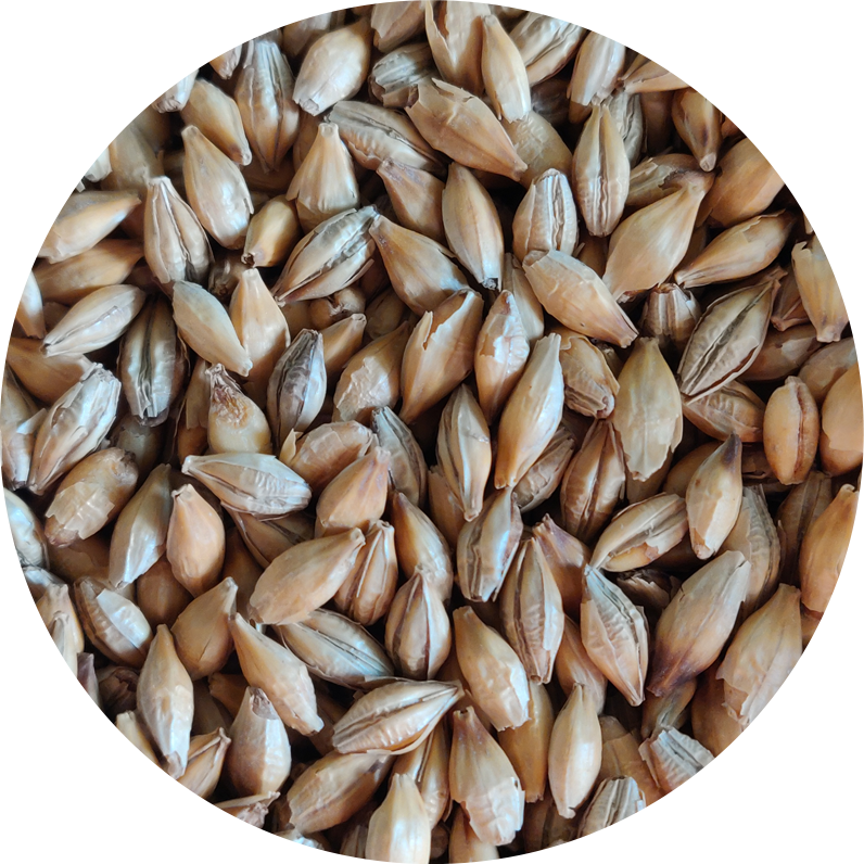 Chit Malt (Crisp), whole, 25 kg