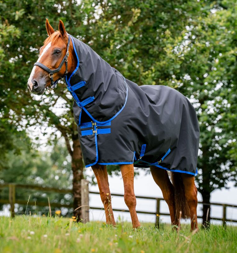 Horseware Amigo Ripstop 900D Plus Turnout (200g Medium) Hästtäcke PONY - Black/Classic Blue (5'6 - 115 cm)