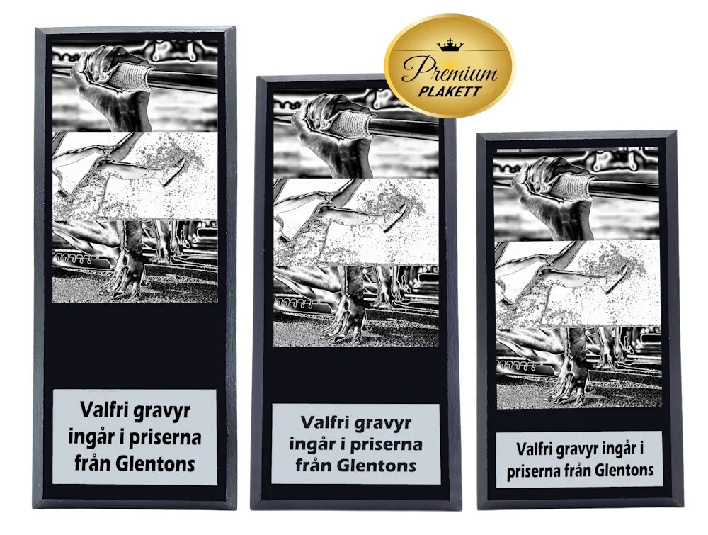 Träplakett premium- Friidrott