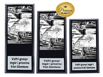 Träplakett premium- Friidrott