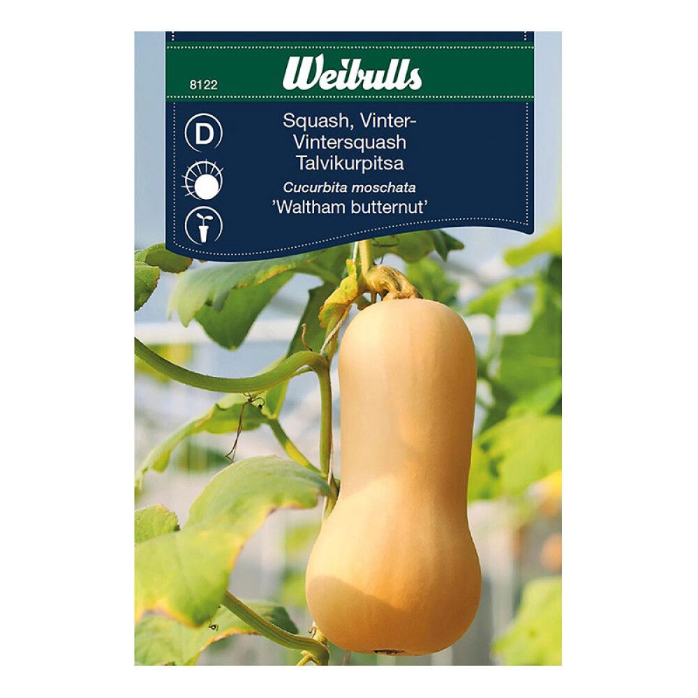 Squash, Vinter Waltham Butternut