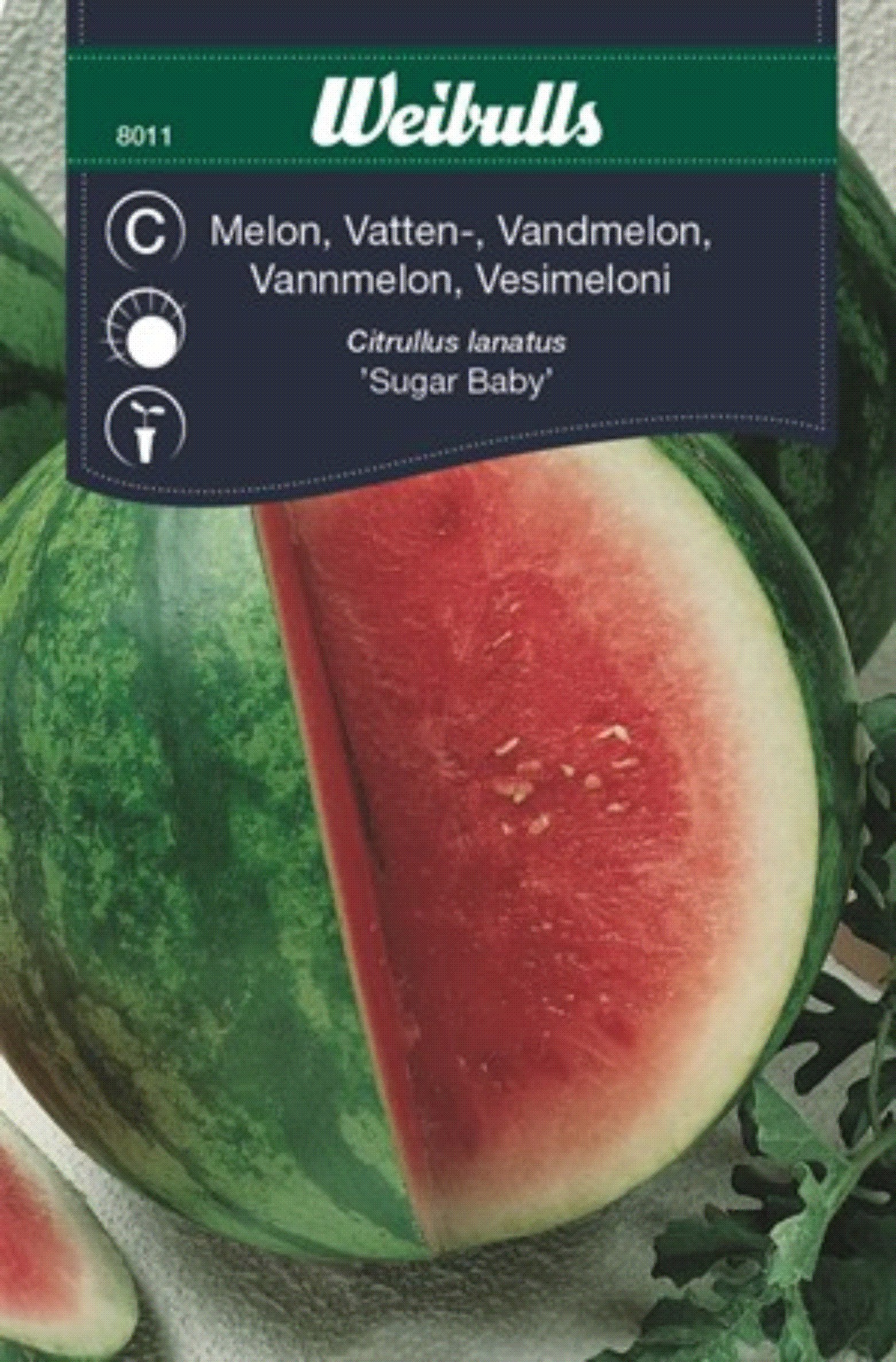 Melon, Vattenmelon