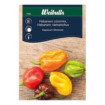 Chilipeppar, Habanero mix Capsicum Chinese