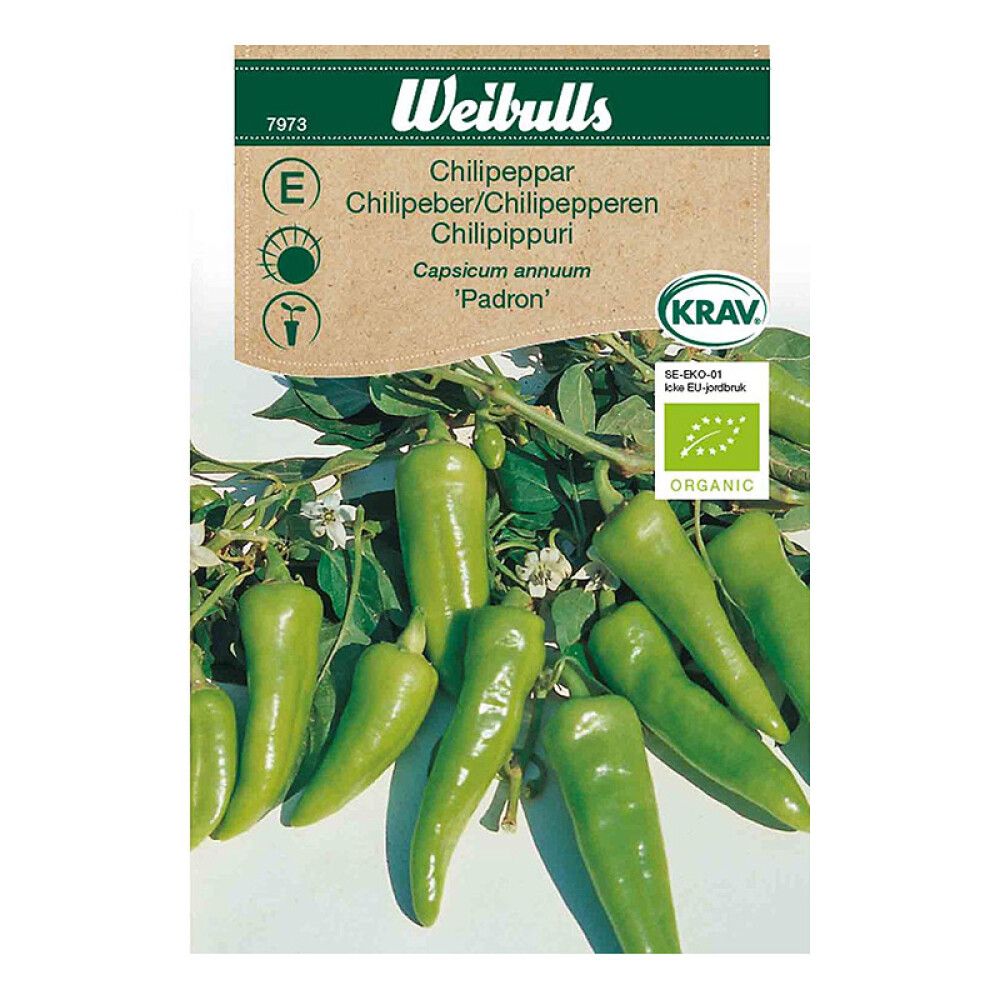 Chilipeppar KRAV Padron