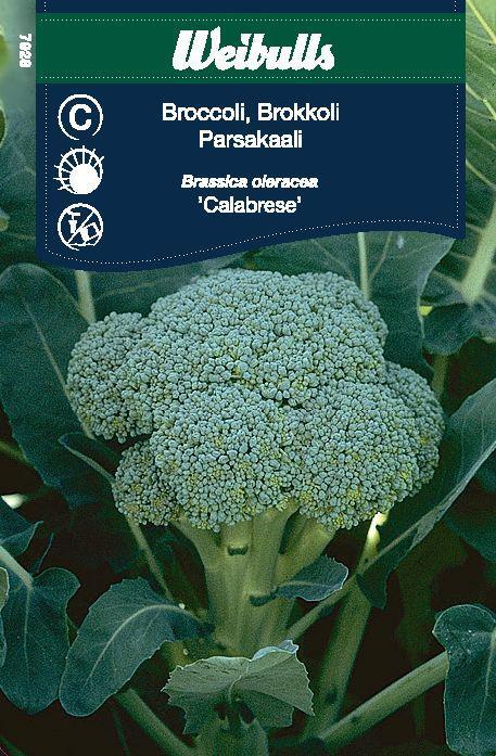 Kål,Broccoli Ramoso Calabrese