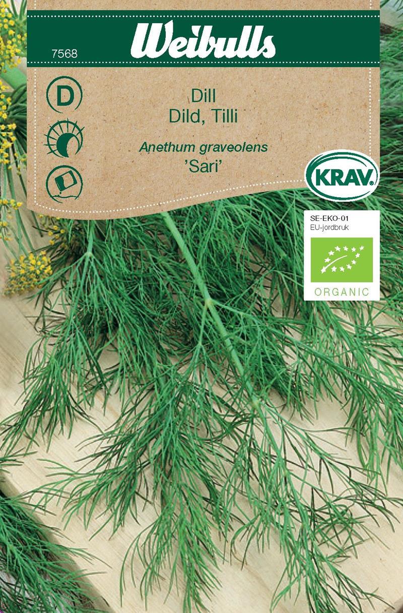 Dill KRAV Sari