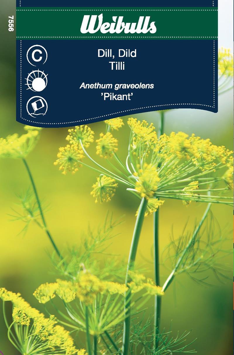 Dill Pikant