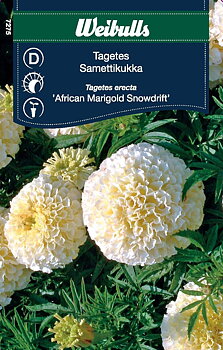 Tagetes Snowdrift (gul/vit)
