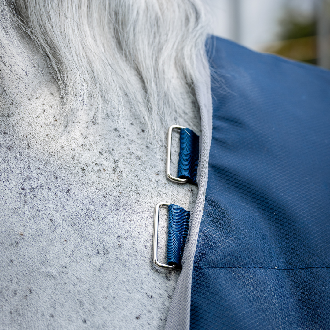 HORSEWARE IONIC THERAPY STABLE 50GR - 4