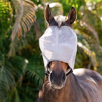 AMIGO FLYMASK EI KORVIA