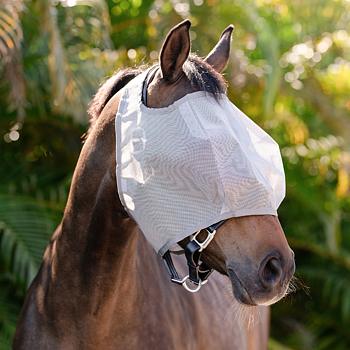 AMIGO FLYMASK EI KORVIA