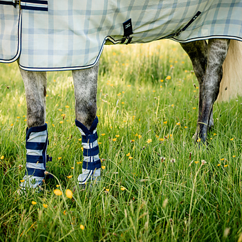 HORSEWARE NEWMARKET FLY SAAPPAAT 2 PACK