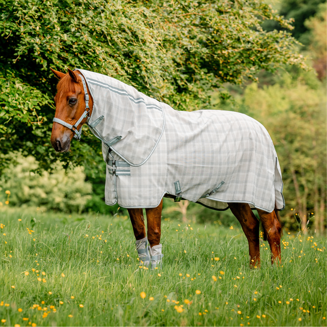 HORSEWARE NEWMARKET FLY SAAPPAAT 2 PACK - 2