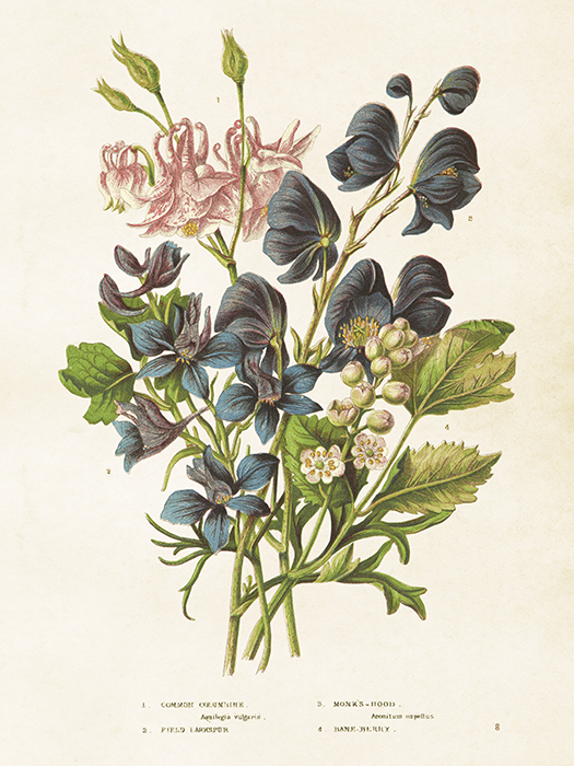 Poster Vintage Akleja &amp; Wolfsbane 18x24cm Beautiful Things - 2