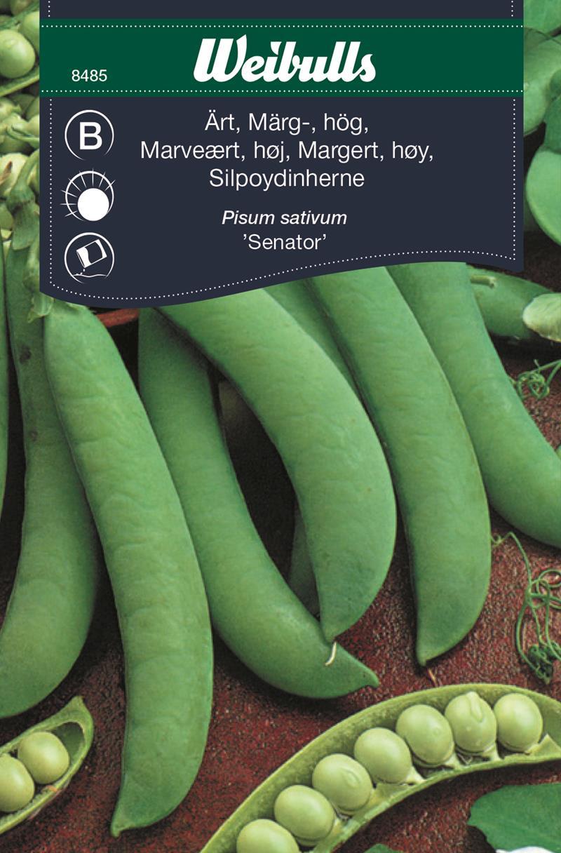 Ärt,märg- Hög Senator