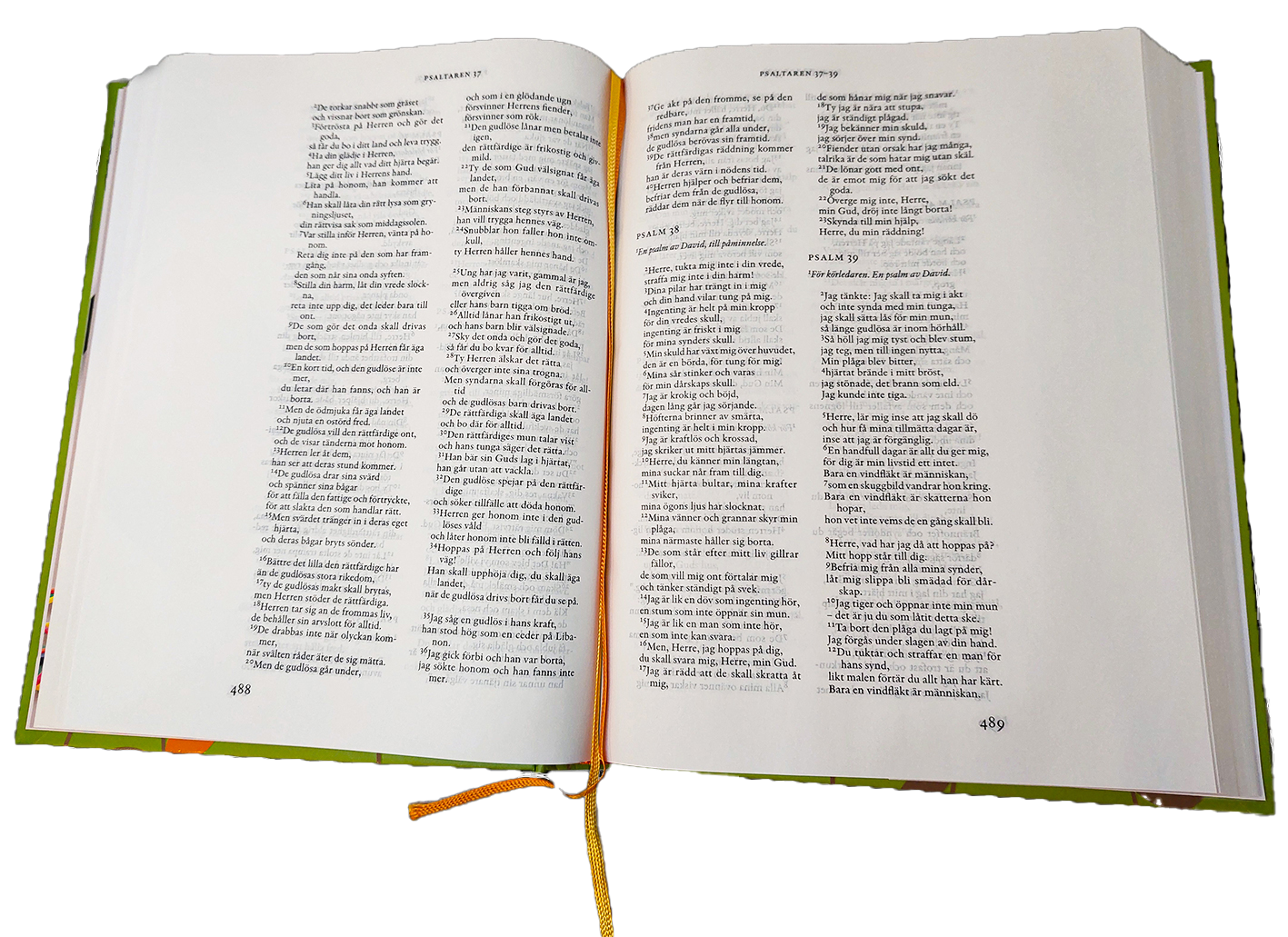 Skapandebibeln - Bibel 2000 - 2