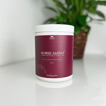 HEST AMINO proteintilskudd