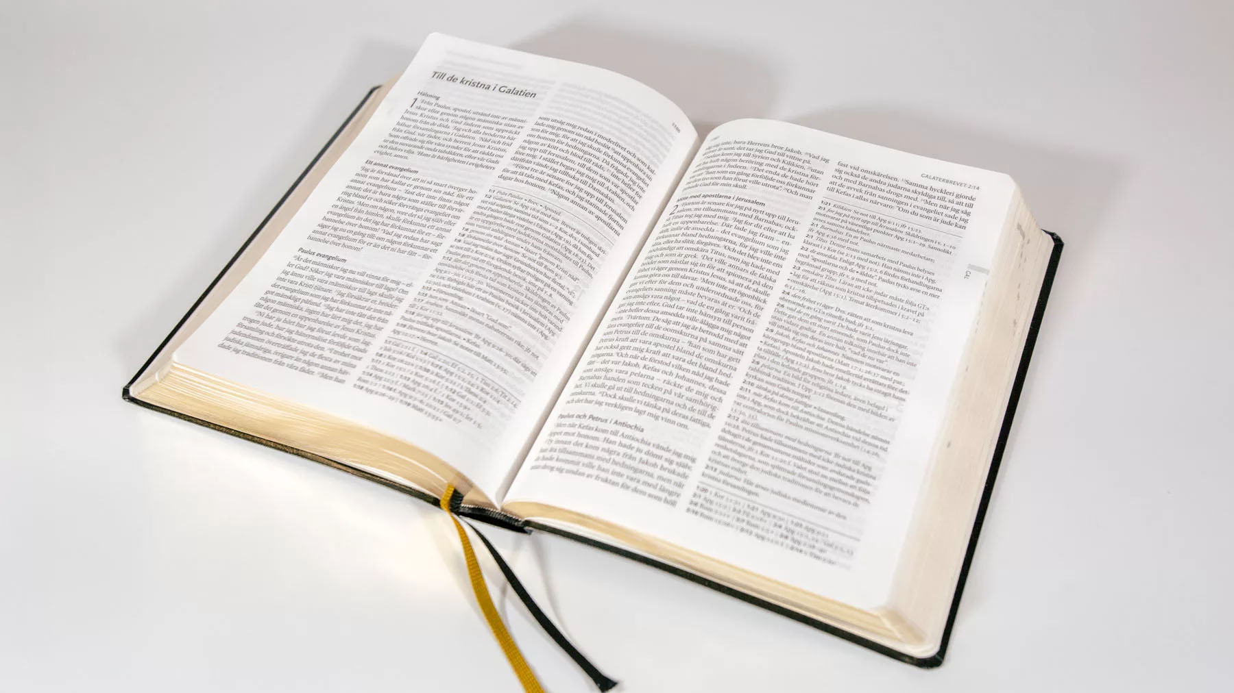 Bibel 2000 – Svart konstskinn - 4
