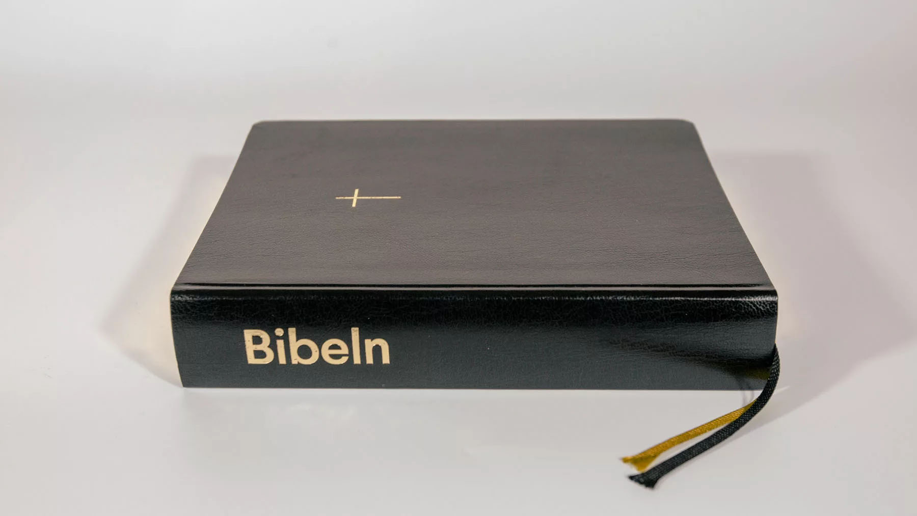 Bibel 2000 – Svart konstskinn - 2