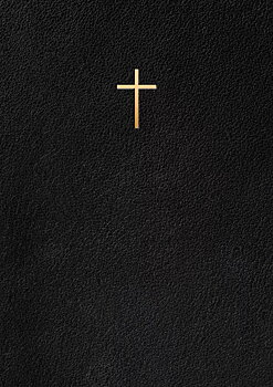 Bibel 2000 – Svart konstskinn