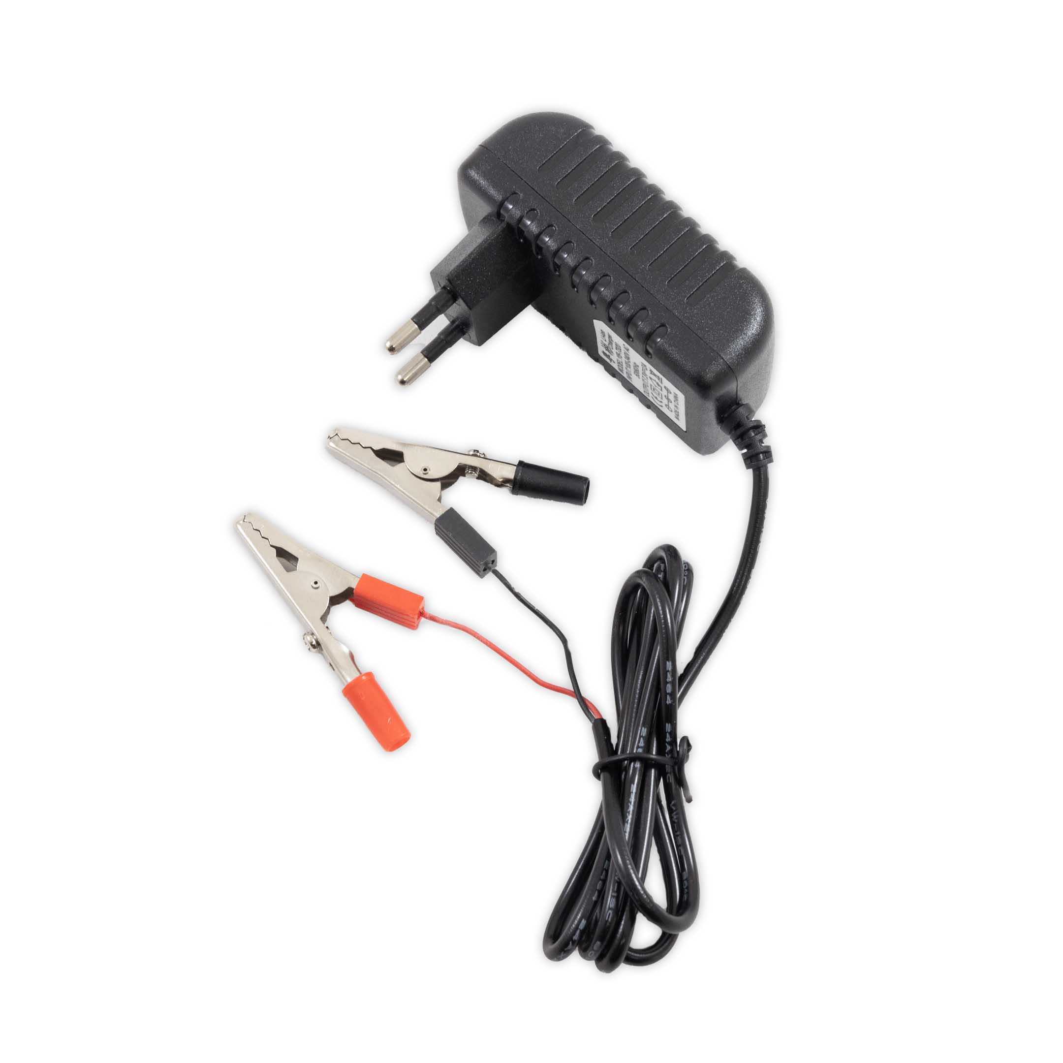 Tipsun Lifepo4 Battery Charger 6V (Lithium)