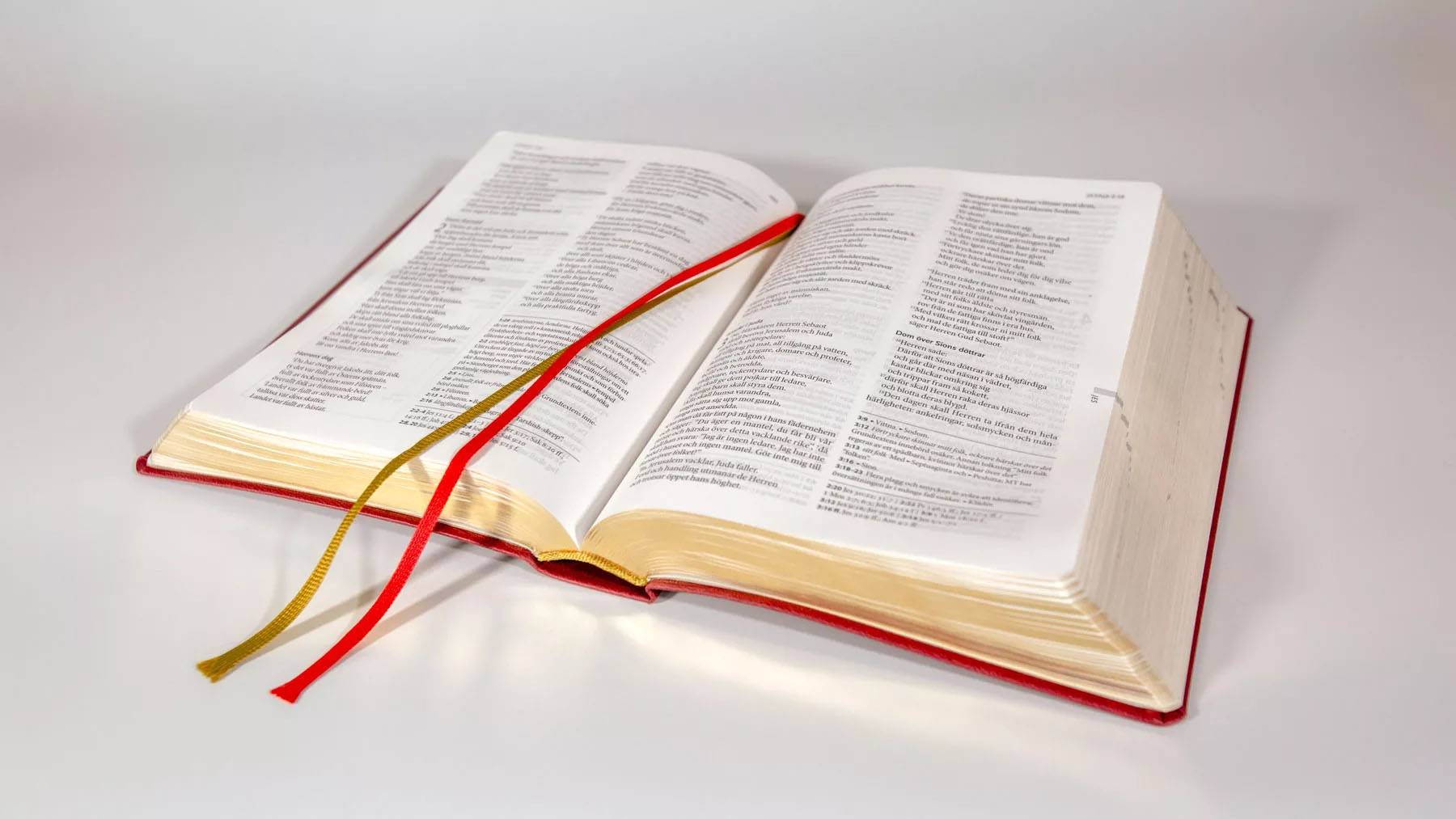 Bibel 2000 – Röd konstskinn - 3